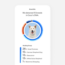 Load image into Gallery viewer, Wisdom Panel™ Breed Discovery