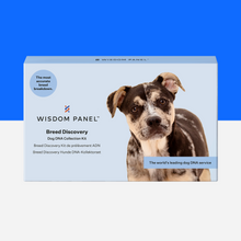 Load image into Gallery viewer, Wisdom Panel™ Breed Discovery