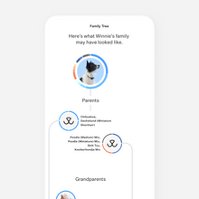 Load image into Gallery viewer, Wisdom Panel™ Breed Discovery
