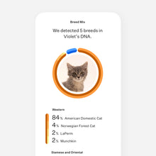 Load image into Gallery viewer, Wisdom Panel™ Complete for Cats
